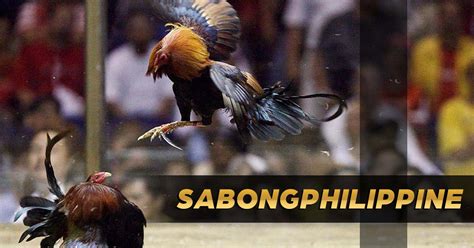 i-sabong.ph|Sabong Live Streaming: Bet, Watch, Win .